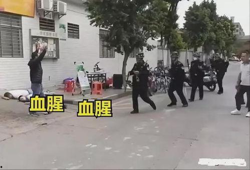 东莞凤岗爆料案件最新,真相渐明，疑云散去  第1张