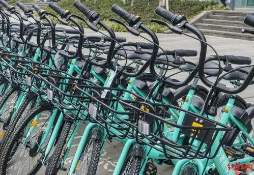 青桔单车最新爆料,揭秘行业变革背后的秘密与未来趋势”