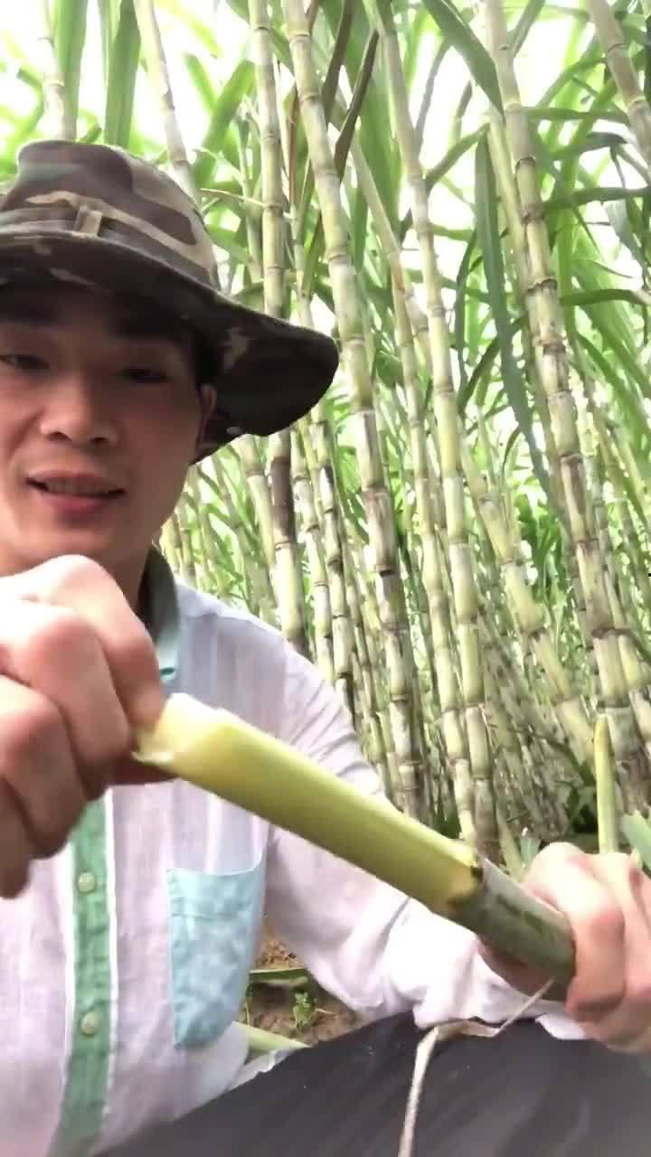 甘蔗爆料原视频,揭秘原视频背后的惊人真相  第3张